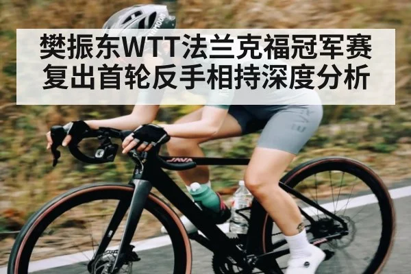 樊振东WTT法兰克福冠军赛复出首轮反手相持深度分析
